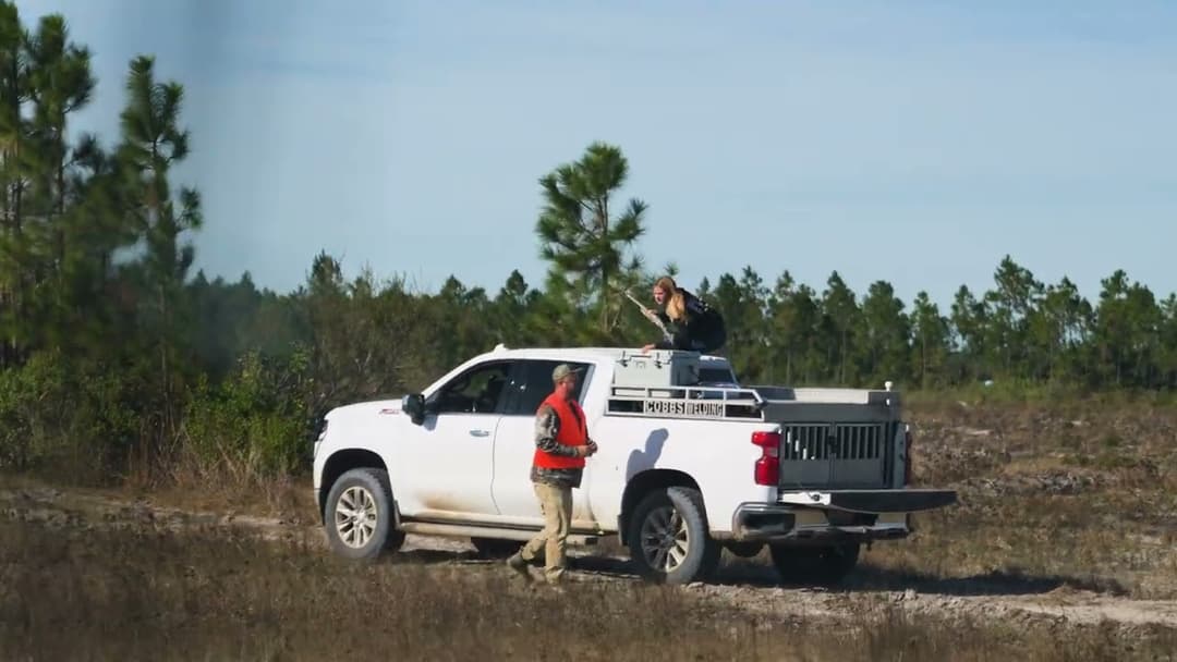 Dog Hunting Whitetail in Florida